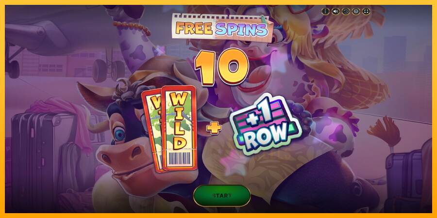 Ticket To Wild macchina da gioco per soldi, immagine 3