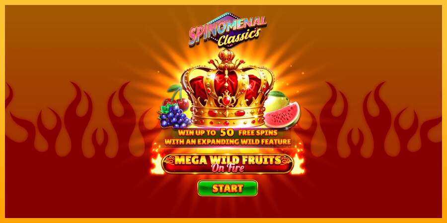 Mega Wild Fruits - On Fire macchina da gioco per soldi, immagine 1