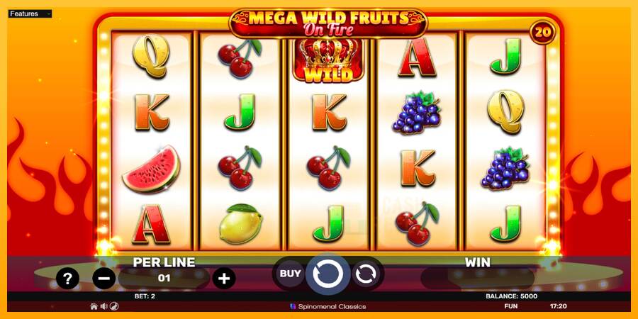 Mega Wild Fruits - On Fire macchina da gioco per soldi, immagine 2