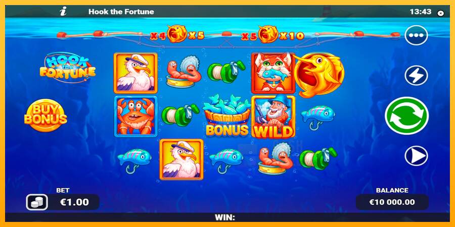 Hook the Fortune macchina da gioco per soldi, immagine 1