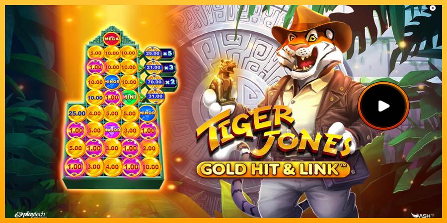 Gold Hit & Link: Tiger Jones macchina da gioco per soldi, immagine 1