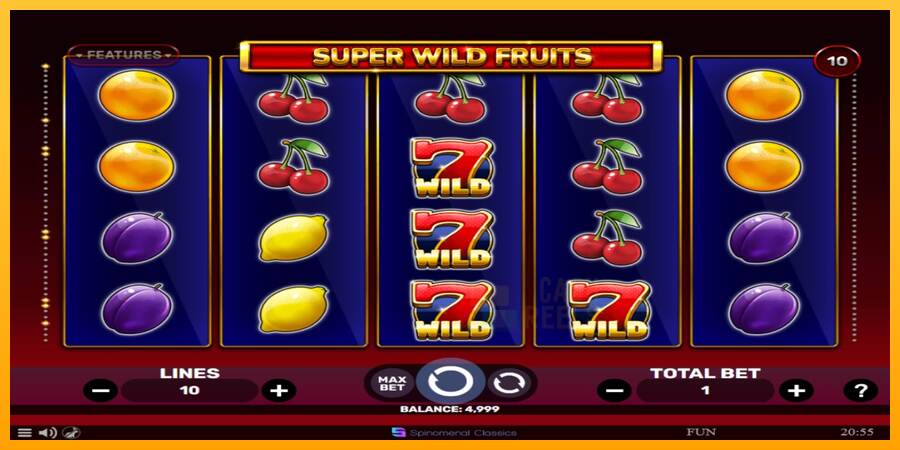 Super Wild Fruits macchina da gioco per soldi, immagine 1