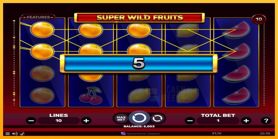 Super Wild Fruits macchina da gioco per soldi, immagine 2