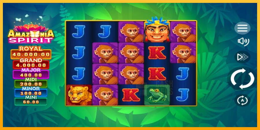 Amazonia Spirit macchina da gioco per soldi, immagine 1