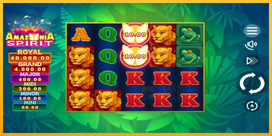 Amazonia Spirit macchina da gioco per soldi, immagine 2