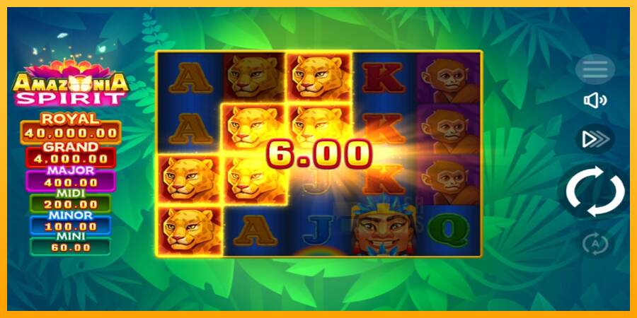 Amazonia Spirit macchina da gioco per soldi, immagine 3