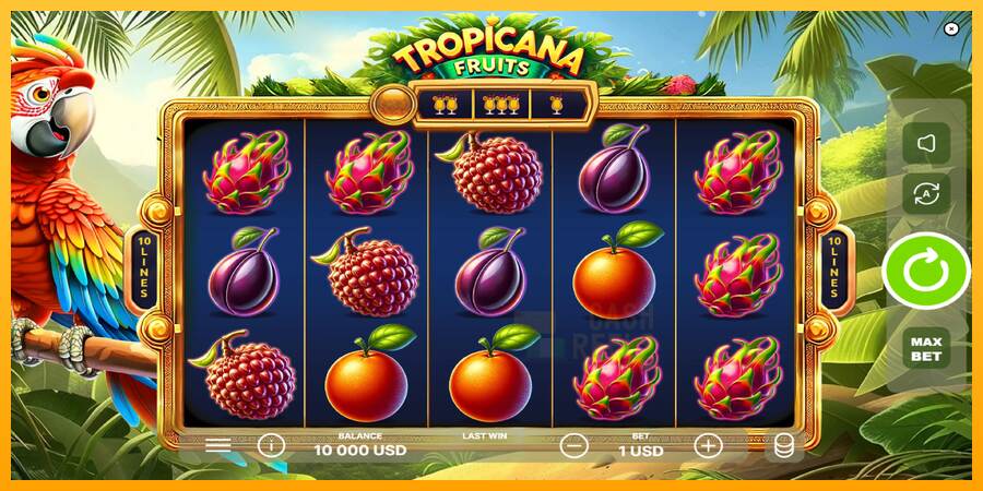 Tropicana Fruits macchina da gioco per soldi, immagine 2