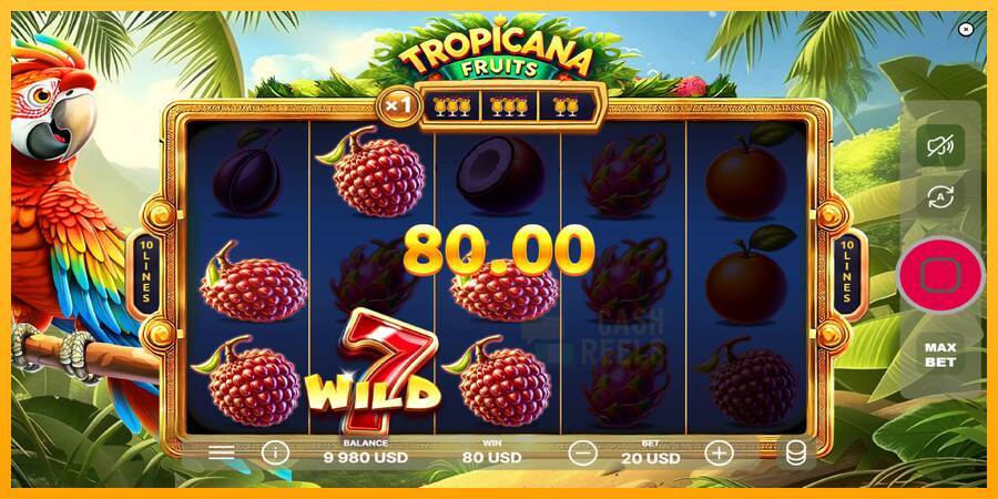 Tropicana Fruits macchina da gioco per soldi, immagine 3