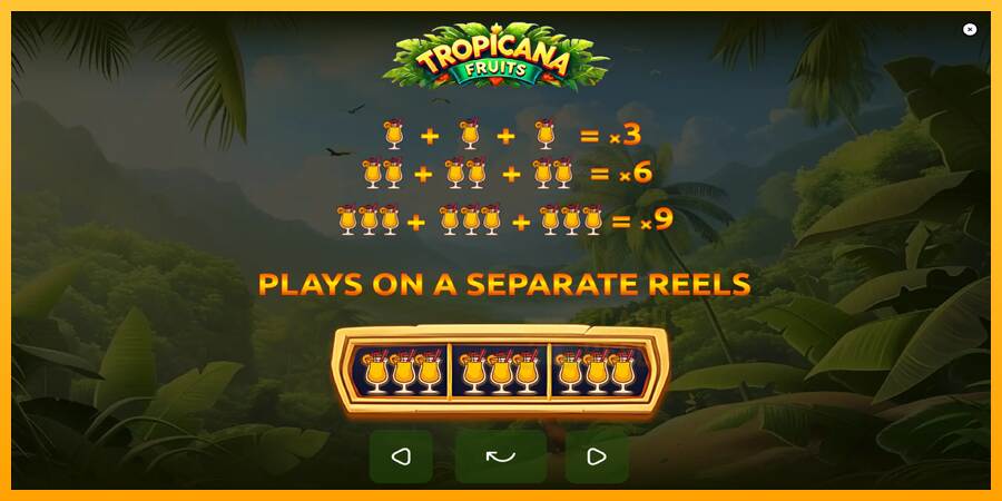 Tropicana Fruits macchina da gioco per soldi, immagine 6