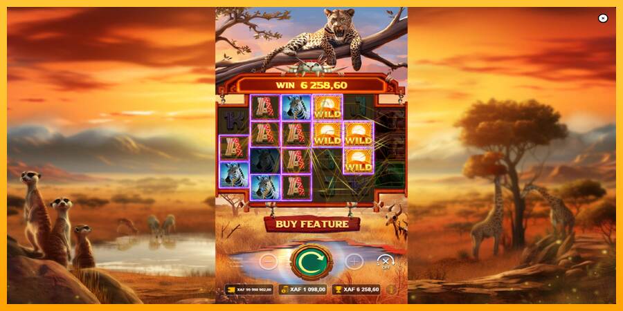 Mega Wild Safari macchina da gioco per soldi, immagine 3