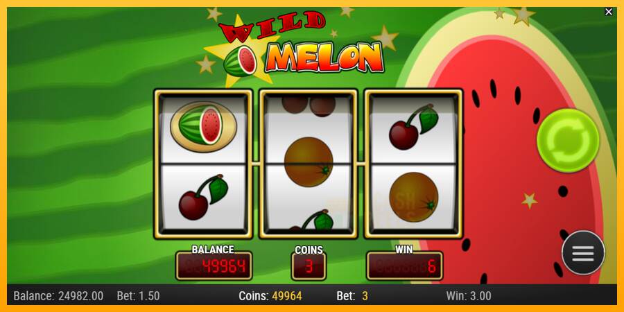 Wild Melon macchina da gioco per soldi, immagine 2