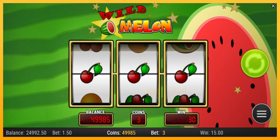 Wild Melon macchina da gioco per soldi, immagine 3