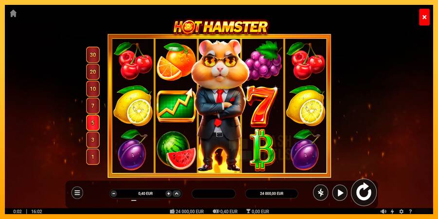 Hot Hamster macchina da gioco per soldi, immagine 1