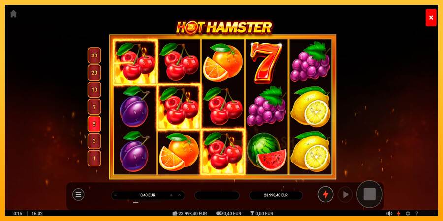 Hot Hamster macchina da gioco per soldi, immagine 2