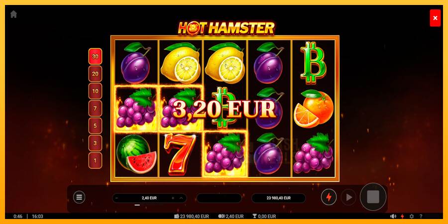 Hot Hamster macchina da gioco per soldi, immagine 3