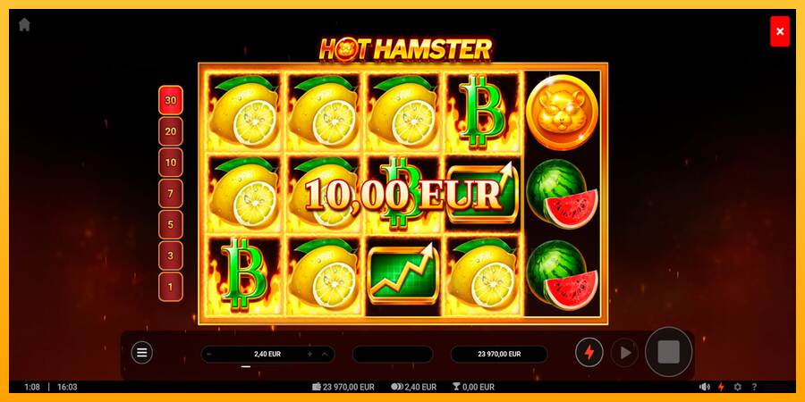 Hot Hamster macchina da gioco per soldi, immagine 4