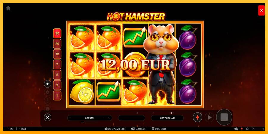 Hot Hamster macchina da gioco per soldi, immagine 5