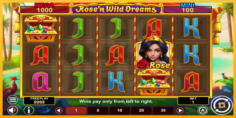 Rose’n Wild Dreams Hold & Win macchina da gioco per soldi, immagine 2