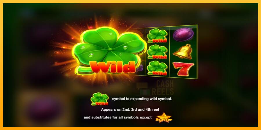 Double Clover Fire macchina da gioco per soldi, immagine 6