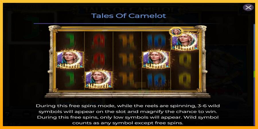 Tales of Camelot macchina da gioco per soldi, immagine 6