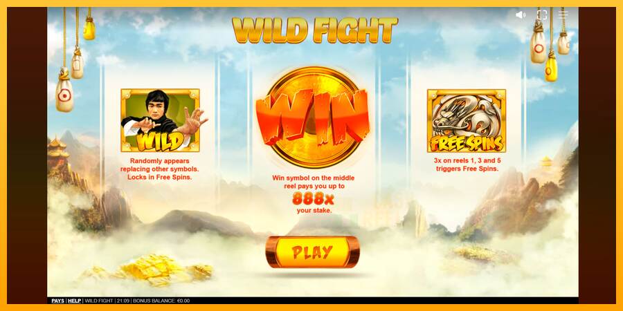 Wild Fight macchina da gioco per soldi, immagine 1