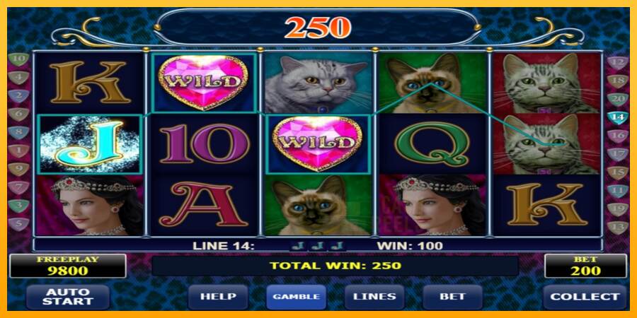 Diamond Cats macchina da gioco per soldi, immagine 2