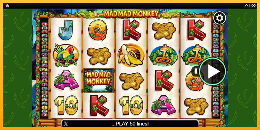 Mad Mad Monkey macchina da gioco per soldi, immagine 1