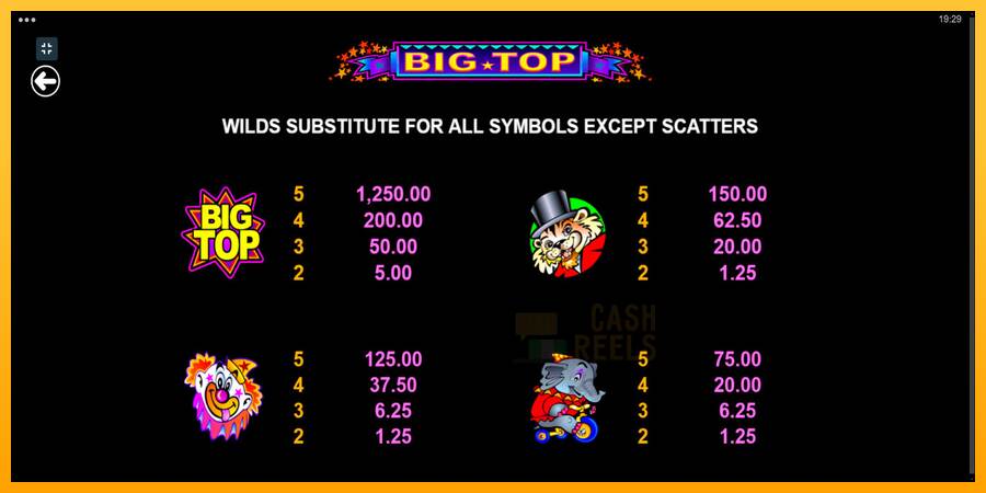 Big Top macchina da gioco per soldi, immagine 8