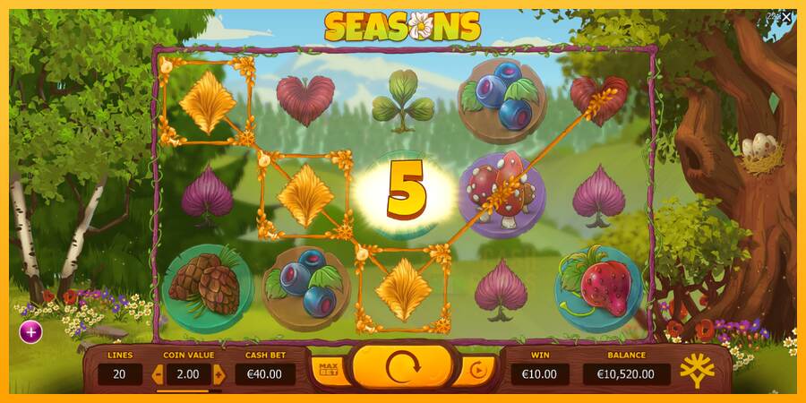 Seasons macchina da gioco per soldi, immagine 4