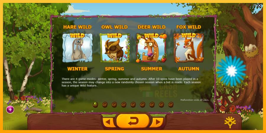 Seasons macchina da gioco per soldi, immagine 6