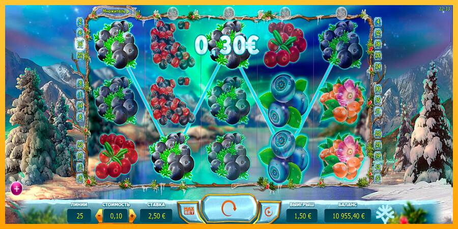 Winterberries macchina da gioco per soldi, immagine 4