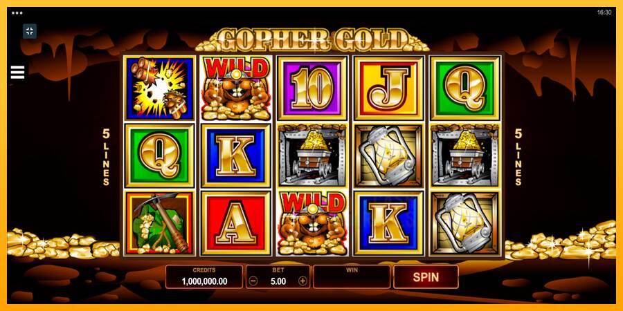 Gopher Gold macchina da gioco per soldi, immagine 1