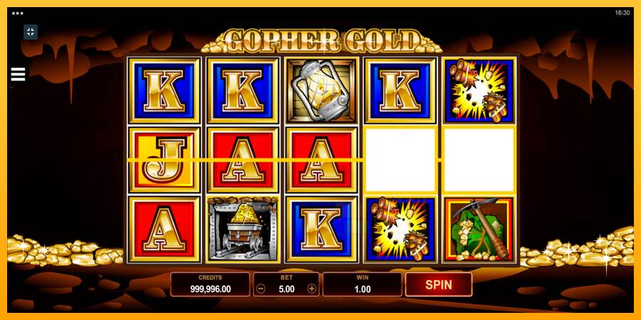 Gopher Gold macchina da gioco per soldi, immagine 2