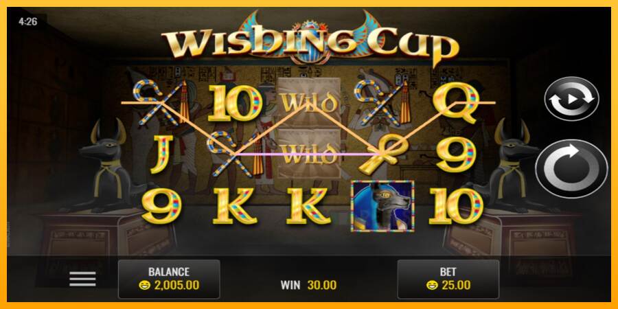 Wishing Cup macchina da gioco per soldi, immagine 2