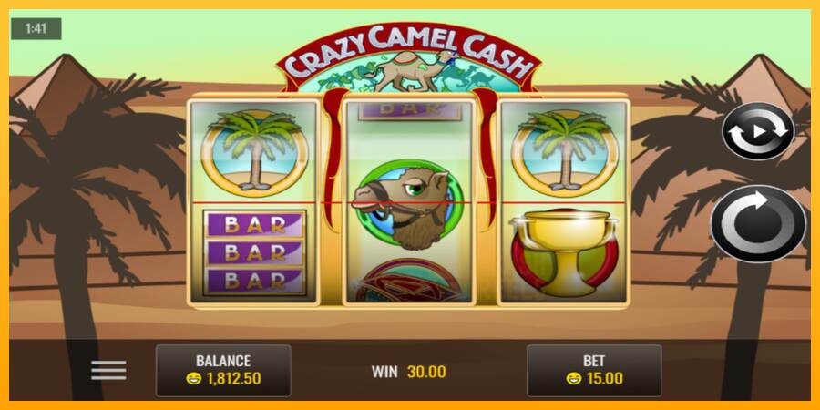 Crazy Camel Cash macchina da gioco per soldi, immagine 3