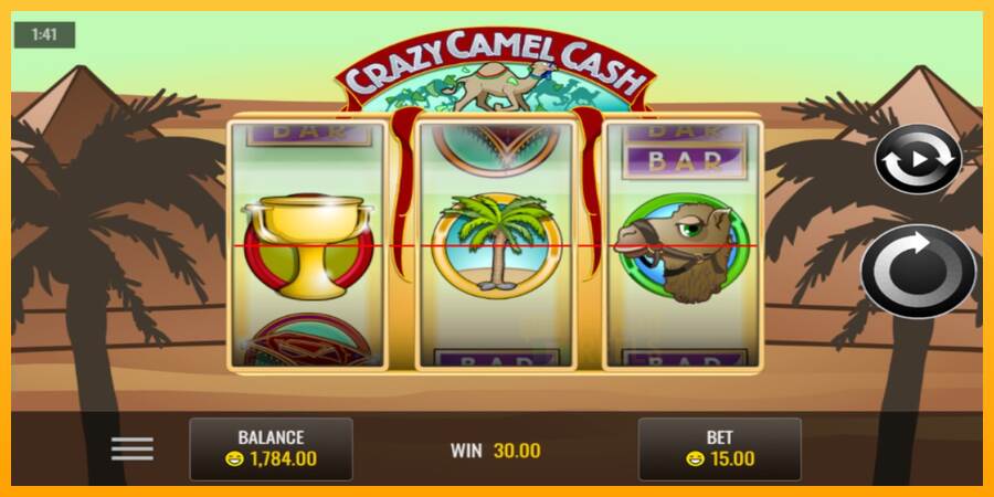 Crazy Camel Cash macchina da gioco per soldi, immagine 4