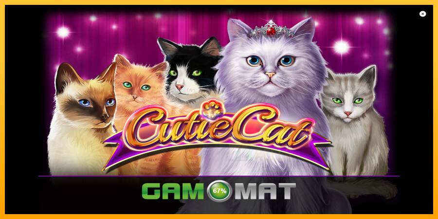 Cutie Cat macchina da gioco per soldi, immagine 1