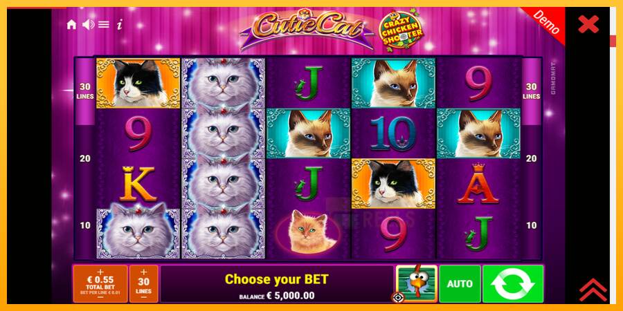 Cutie Cat macchina da gioco per soldi, immagine 2