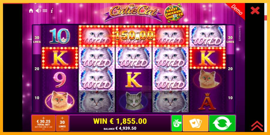 Cutie Cat macchina da gioco per soldi, immagine 4