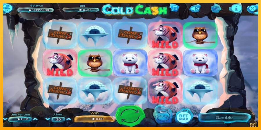 Cold Cash macchina da gioco per soldi, immagine 2