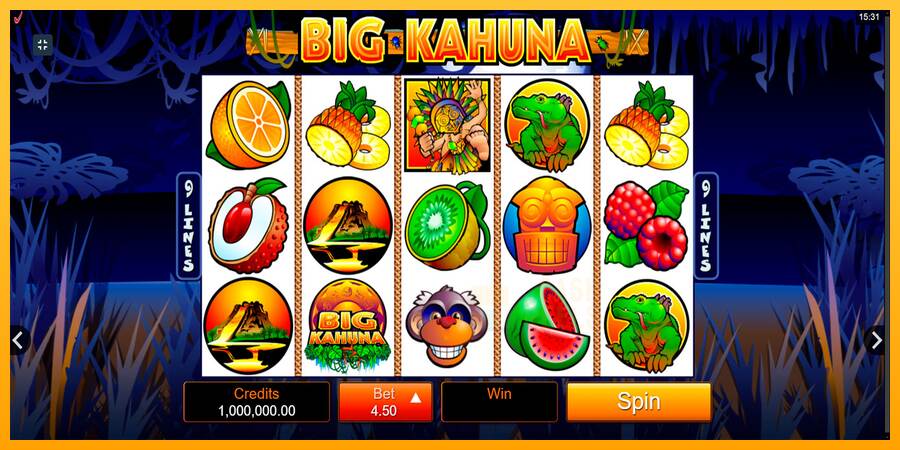 Big Kahuna macchina da gioco per soldi, immagine 1