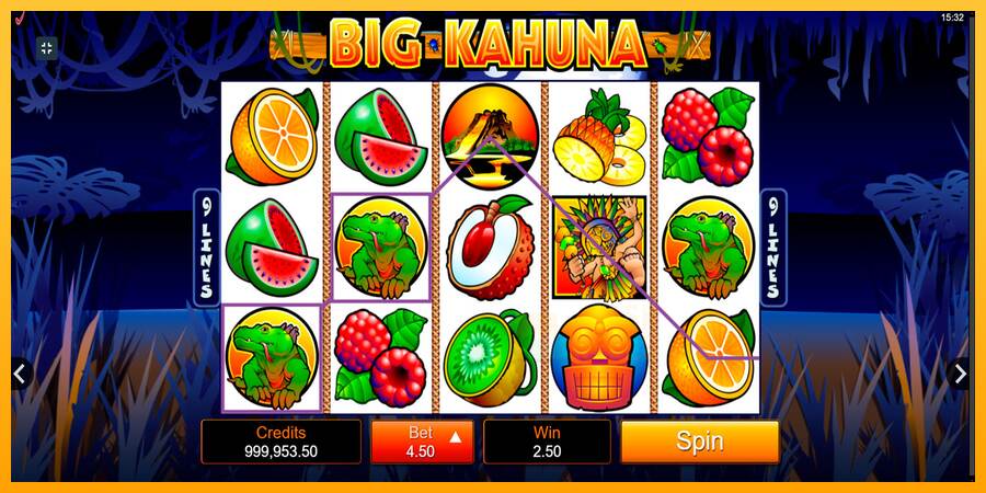 Big Kahuna macchina da gioco per soldi, immagine 2