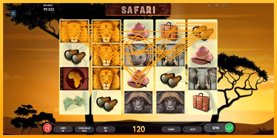 Safari macchina da gioco per soldi, immagine 4