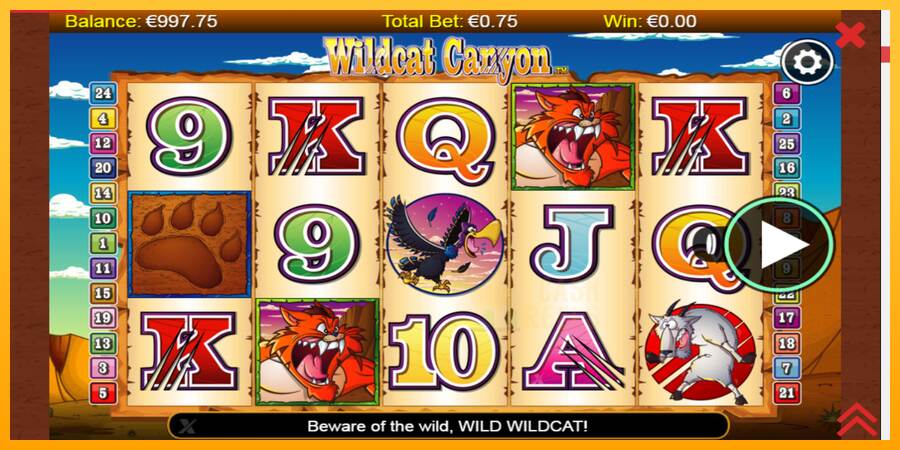 Wildcat Canyon macchina da gioco per soldi, immagine 1