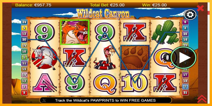 Wildcat Canyon macchina da gioco per soldi, immagine 3