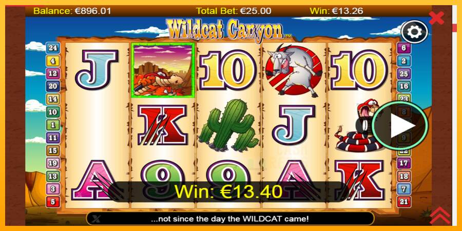 Wildcat Canyon macchina da gioco per soldi, immagine 4