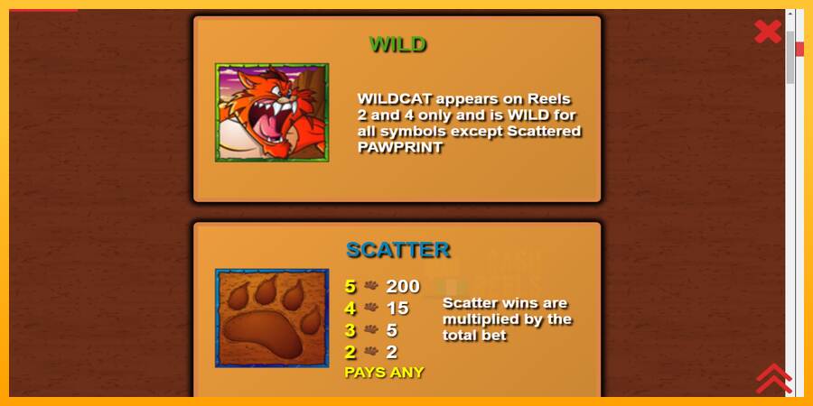 Wildcat Canyon macchina da gioco per soldi, immagine 5