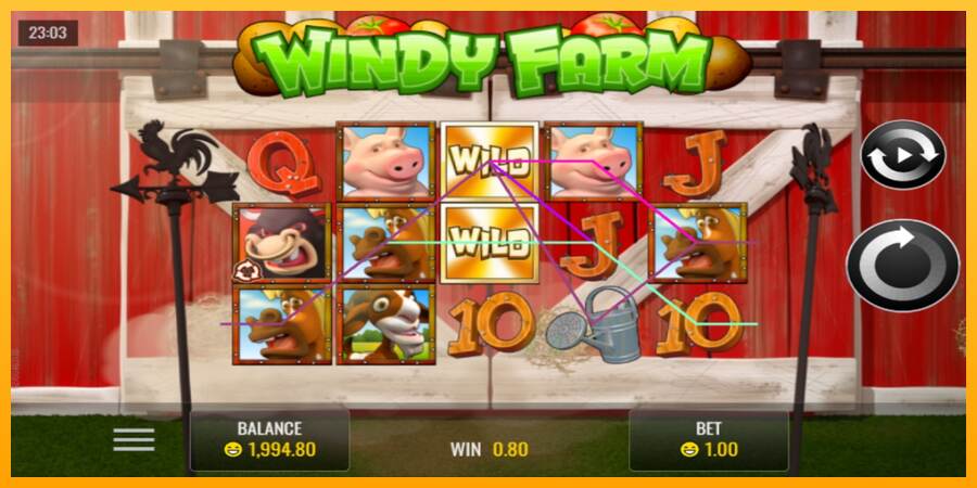 Windy Farm macchina da gioco per soldi, immagine 2