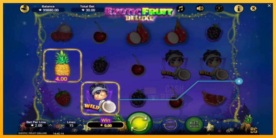 Exotic Fruit Deluxe macchina da gioco per soldi, immagine 3