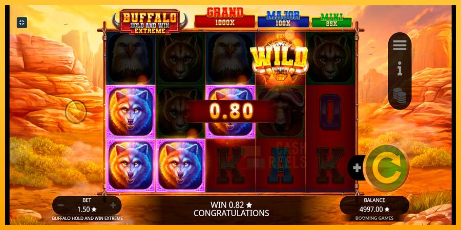 Buffalo Hold and Win Extreme macchina da gioco per soldi, immagine 2